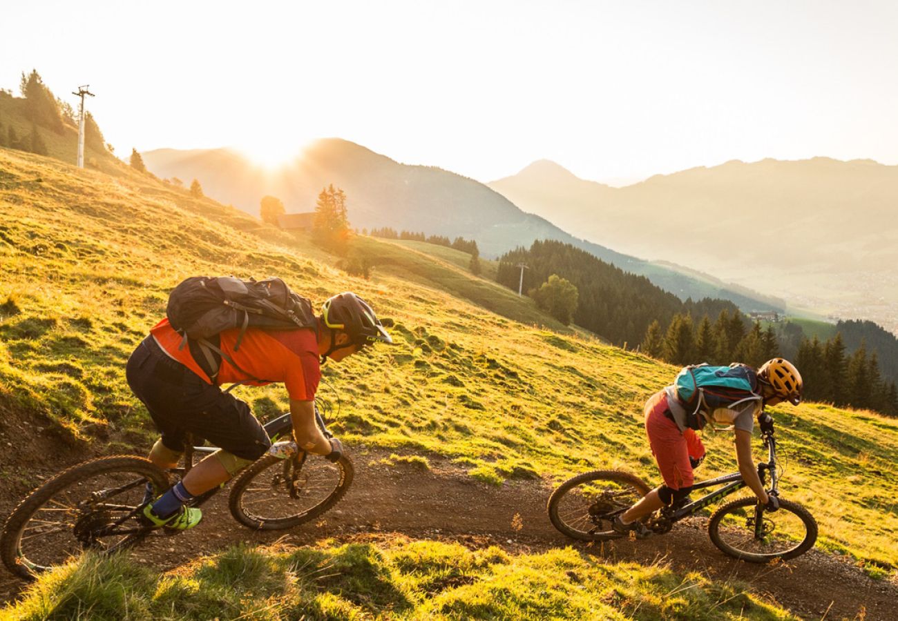 Apartment in Kirchberg in Tirol - KitzAlps Standard Appartment