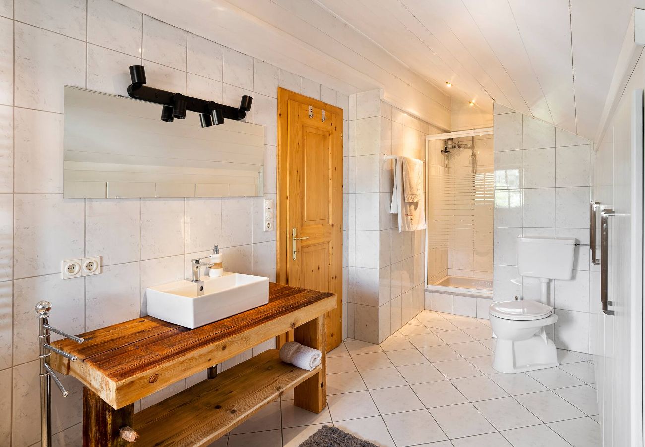 Apartment in Kirchberg in Tirol - KitzAlps Premium Appartment