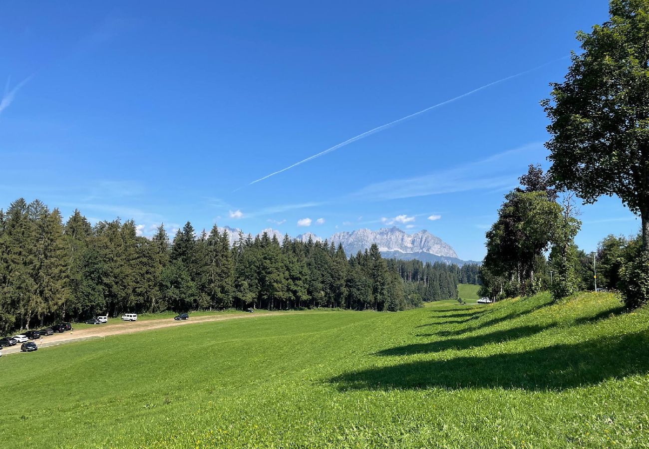 Apartment in Kitzbühel - Seebichlhof 4 - Horn