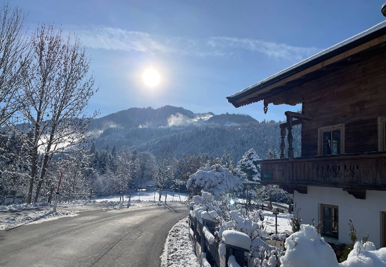 Apartment in Kitzbühel - Seebichlhof 4 - Horn