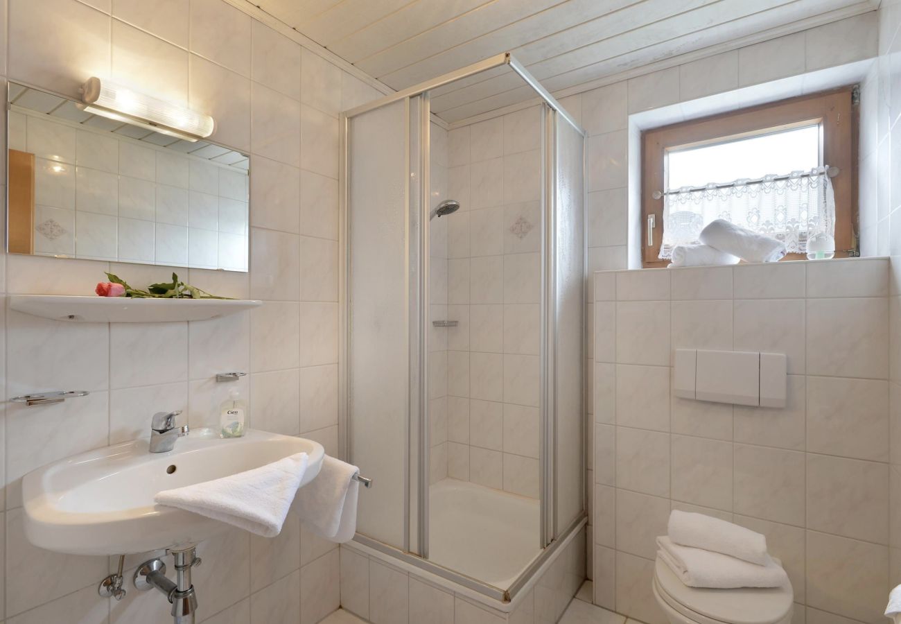 Apartment in Westendorf - Haus Adler 5