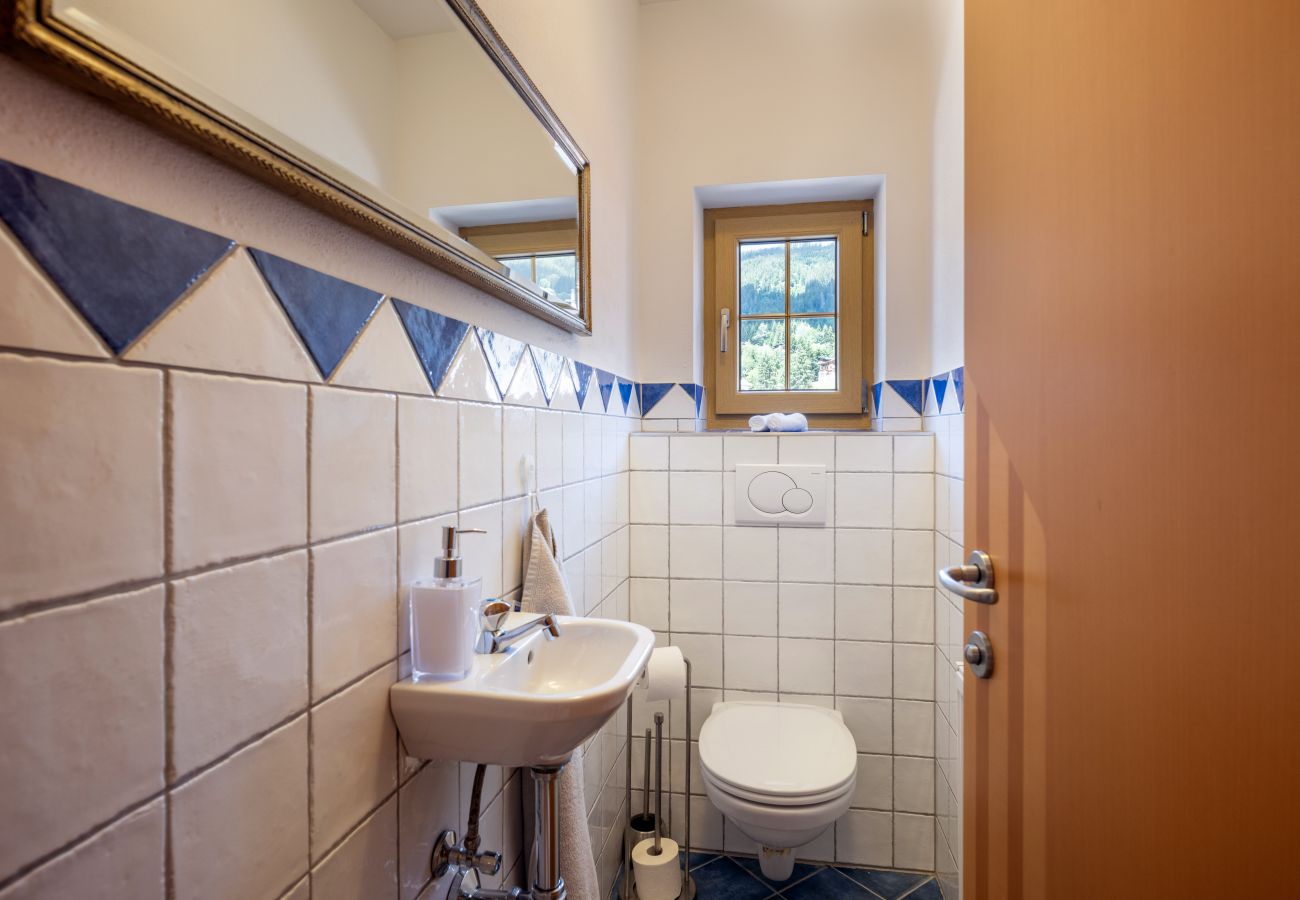 Apartment in Kirchberg in Tirol - App Horngacher Top 2