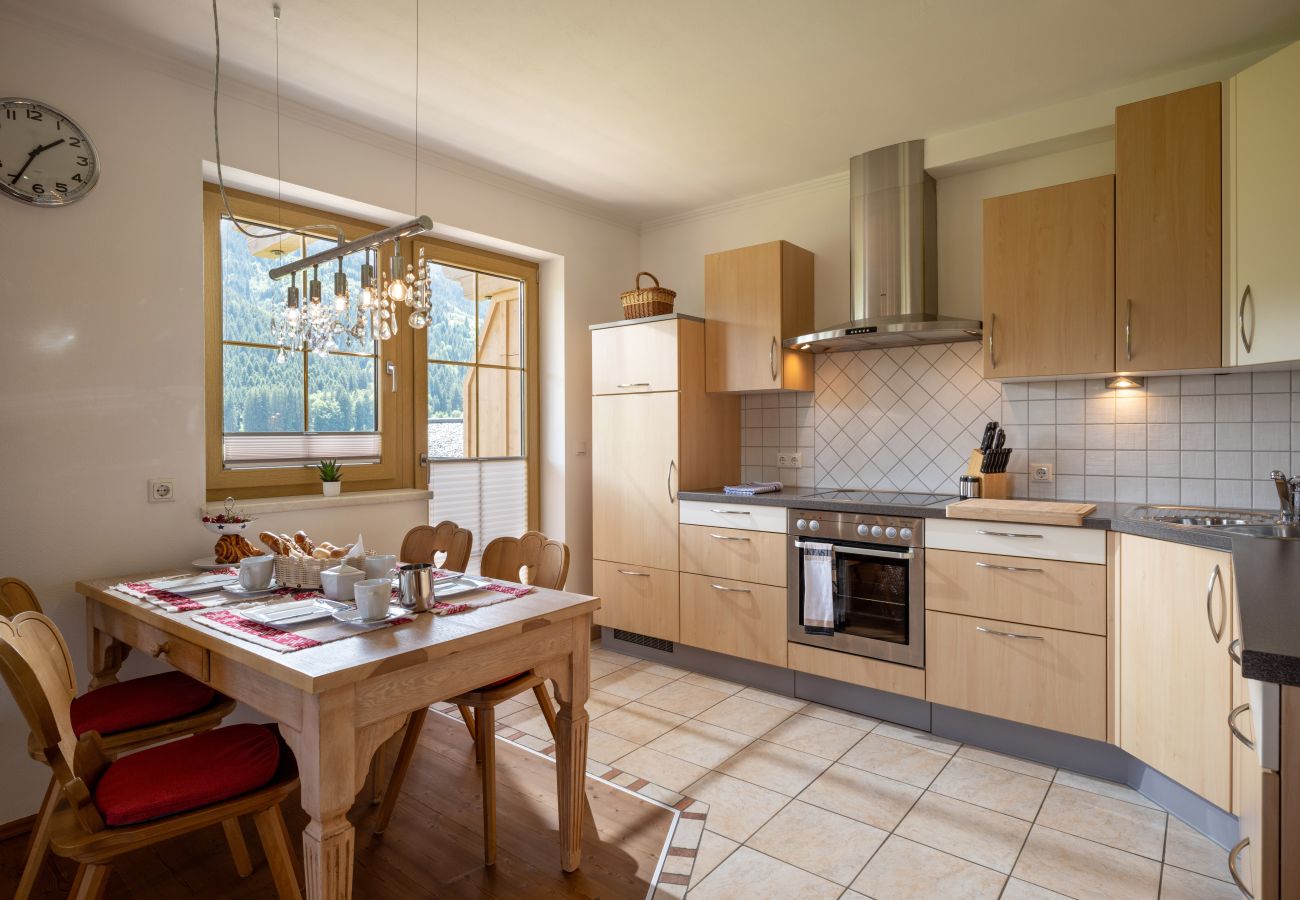 Apartment in Kirchberg in Tirol - App Horngacher Top 2