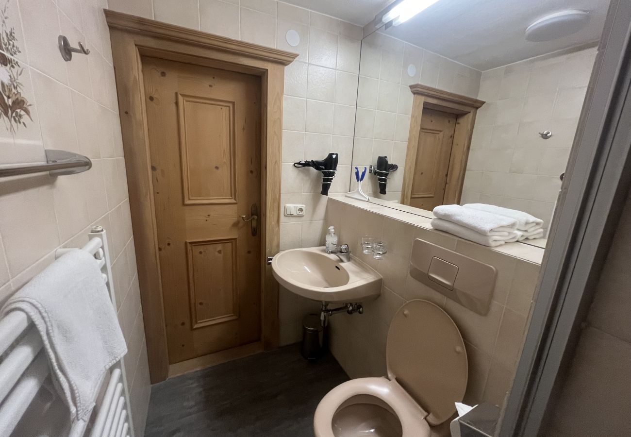 Appartement in Kitzbühel - Seebichlhof 2 - Lebenberg