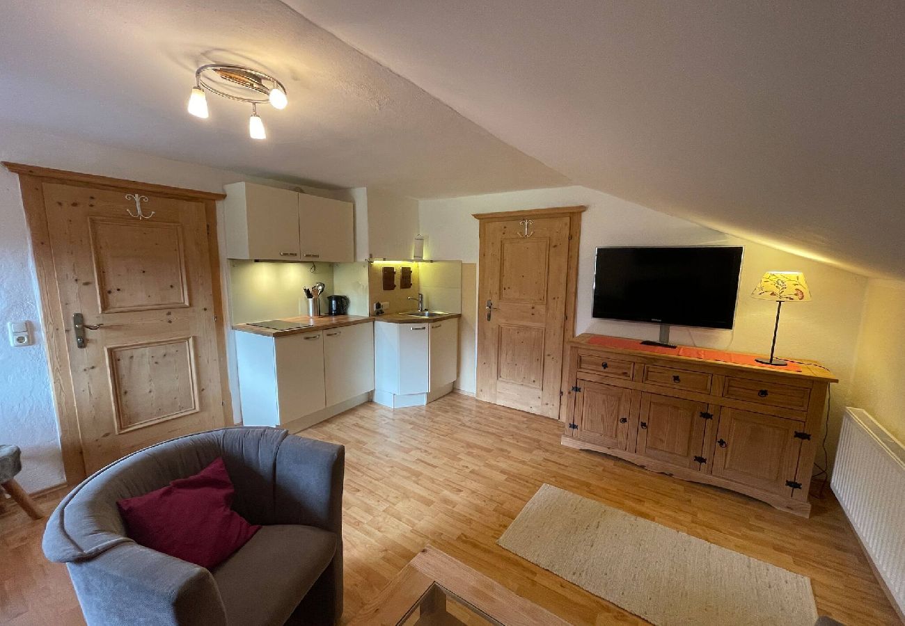 Appartement in Kitzbühel - Seebichlhof 4 - Horn