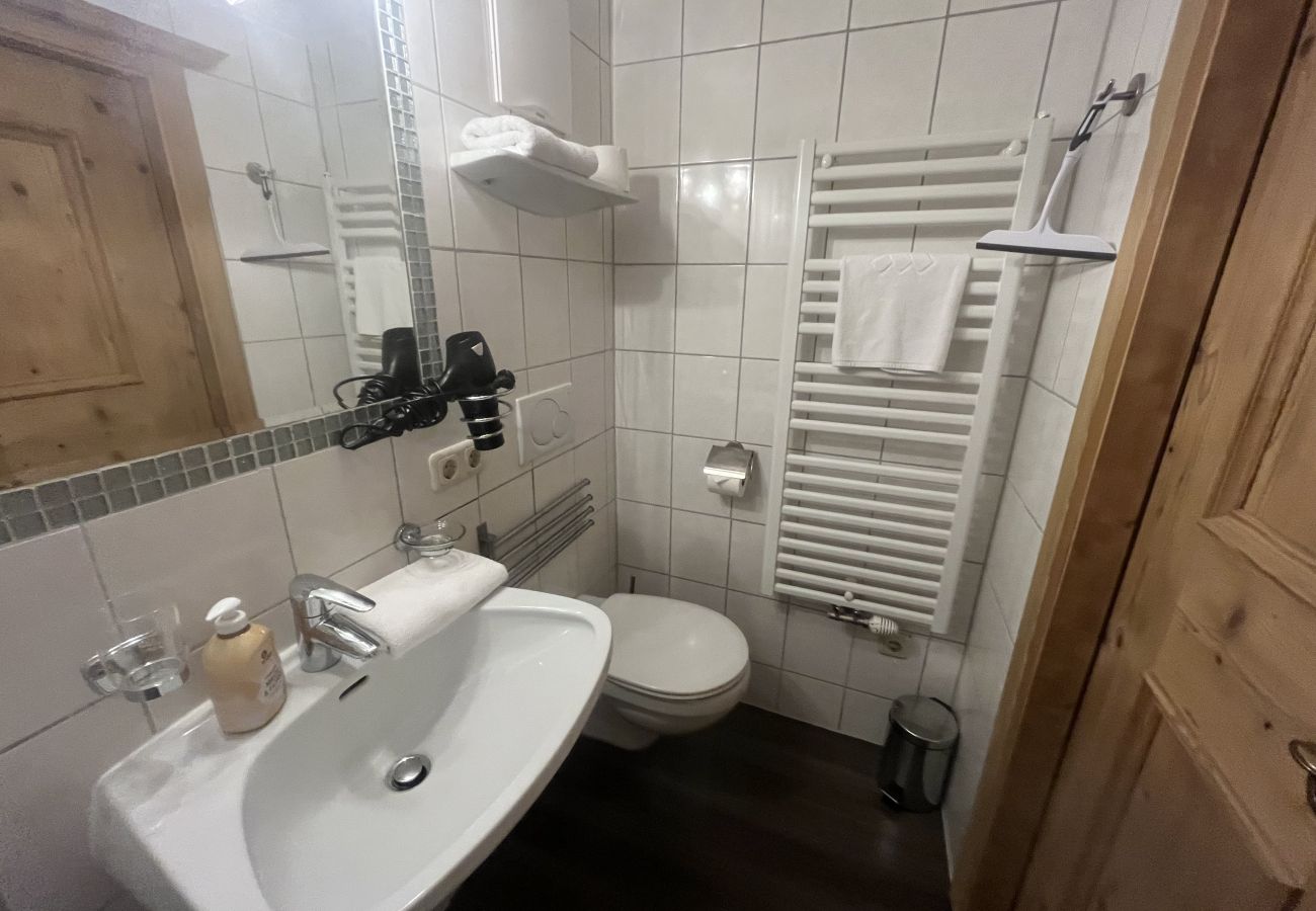Appartement in Kitzbühel - Seebichlhof 4 - Horn