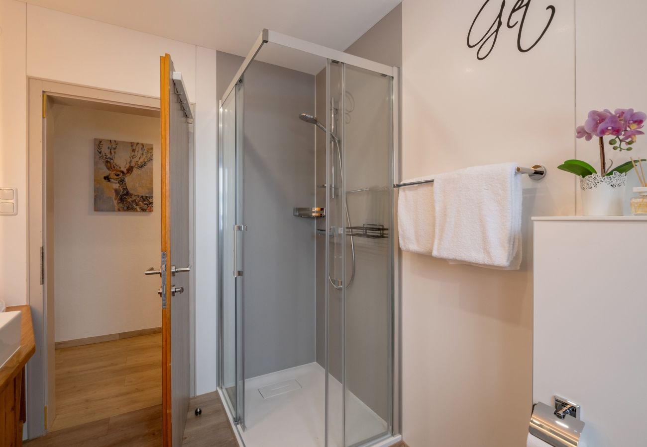 Appartement in Westendorf - Appartement Sepp 1 by Alpine Host Helpers