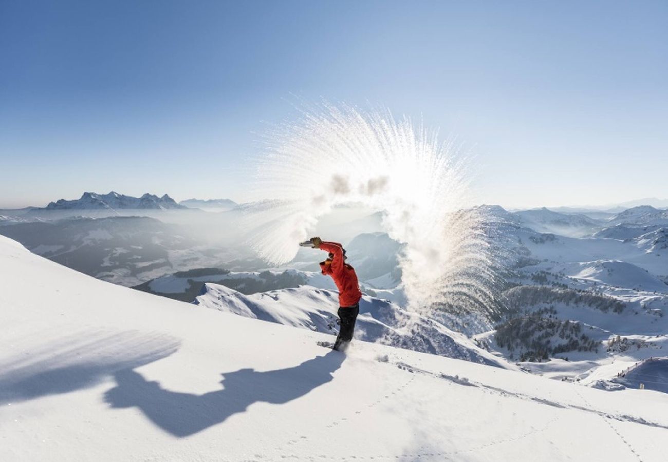 Ferienwohnung in Brixen im Thale - Marias Alpen Apartment