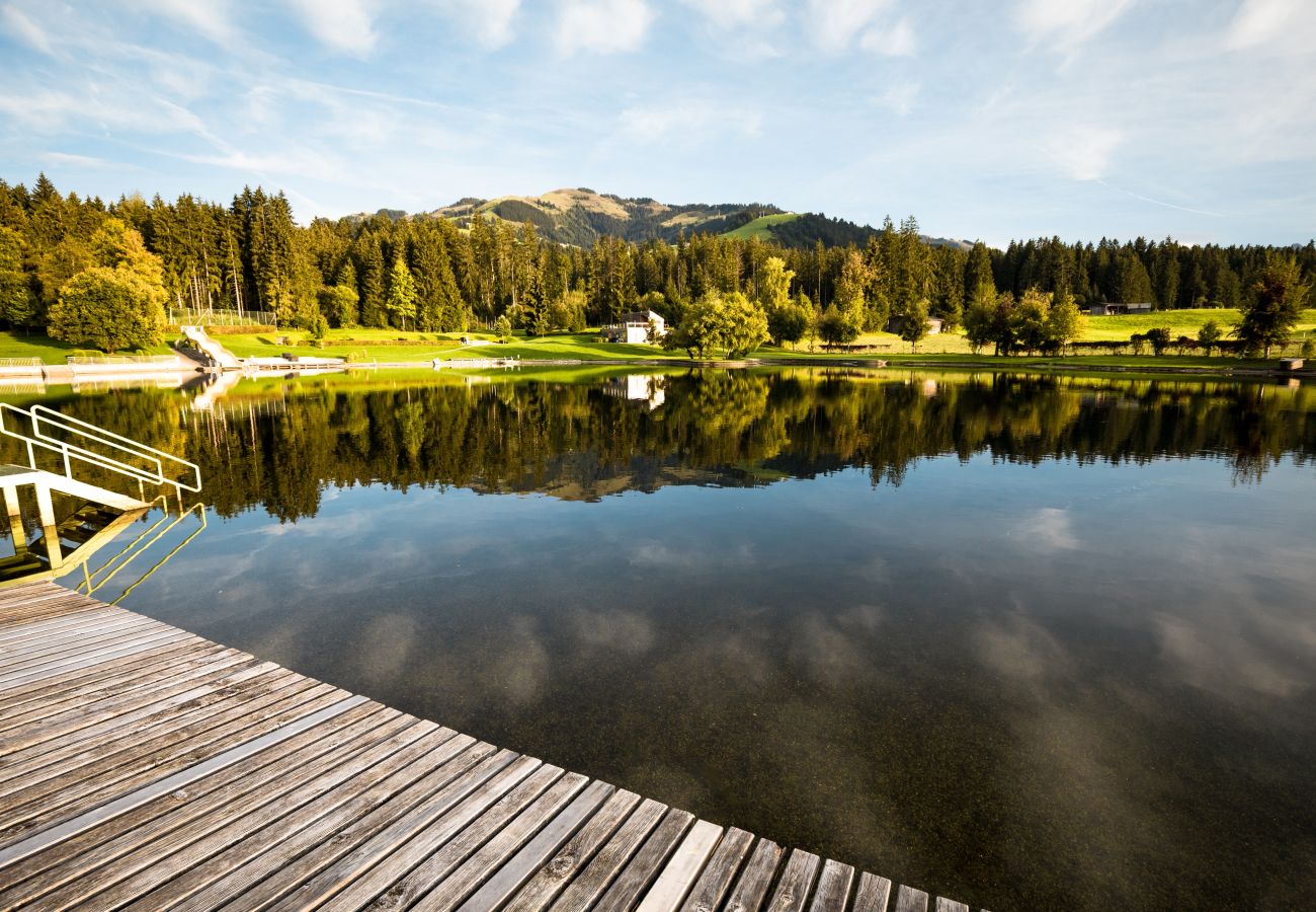 Ferienwohnung in Kirchberg in Tirol - Zentral Sauna Studio