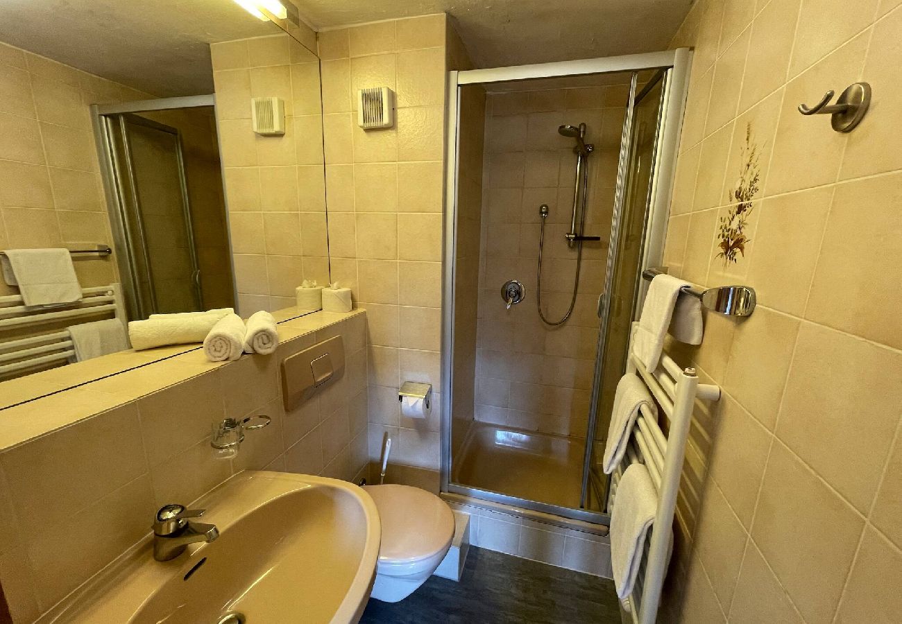 Ferienwohnung in Kitzbühel - Seebichlhof 2 - Lebenberg