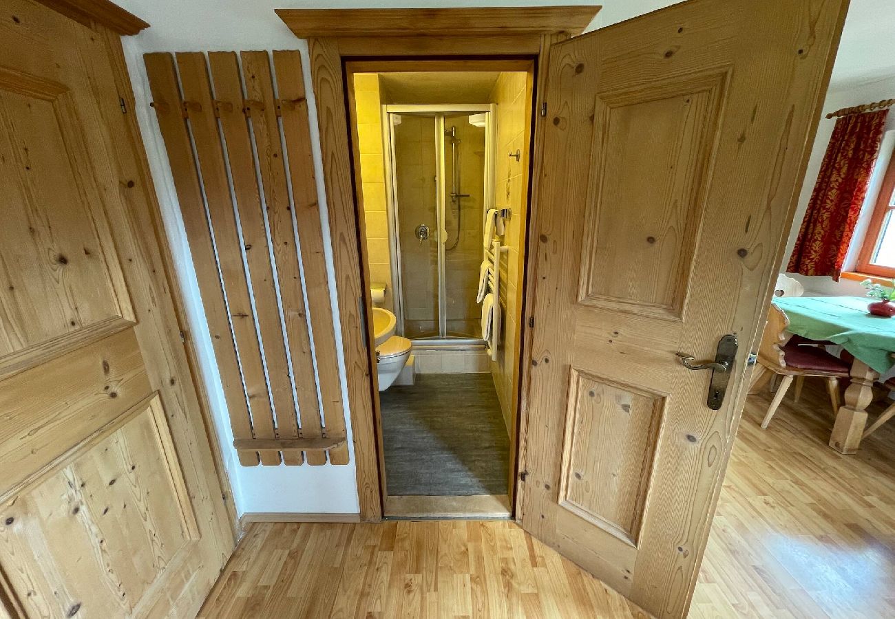 Ferienwohnung in Kitzbühel - Seebichlhof 2 - Lebenberg