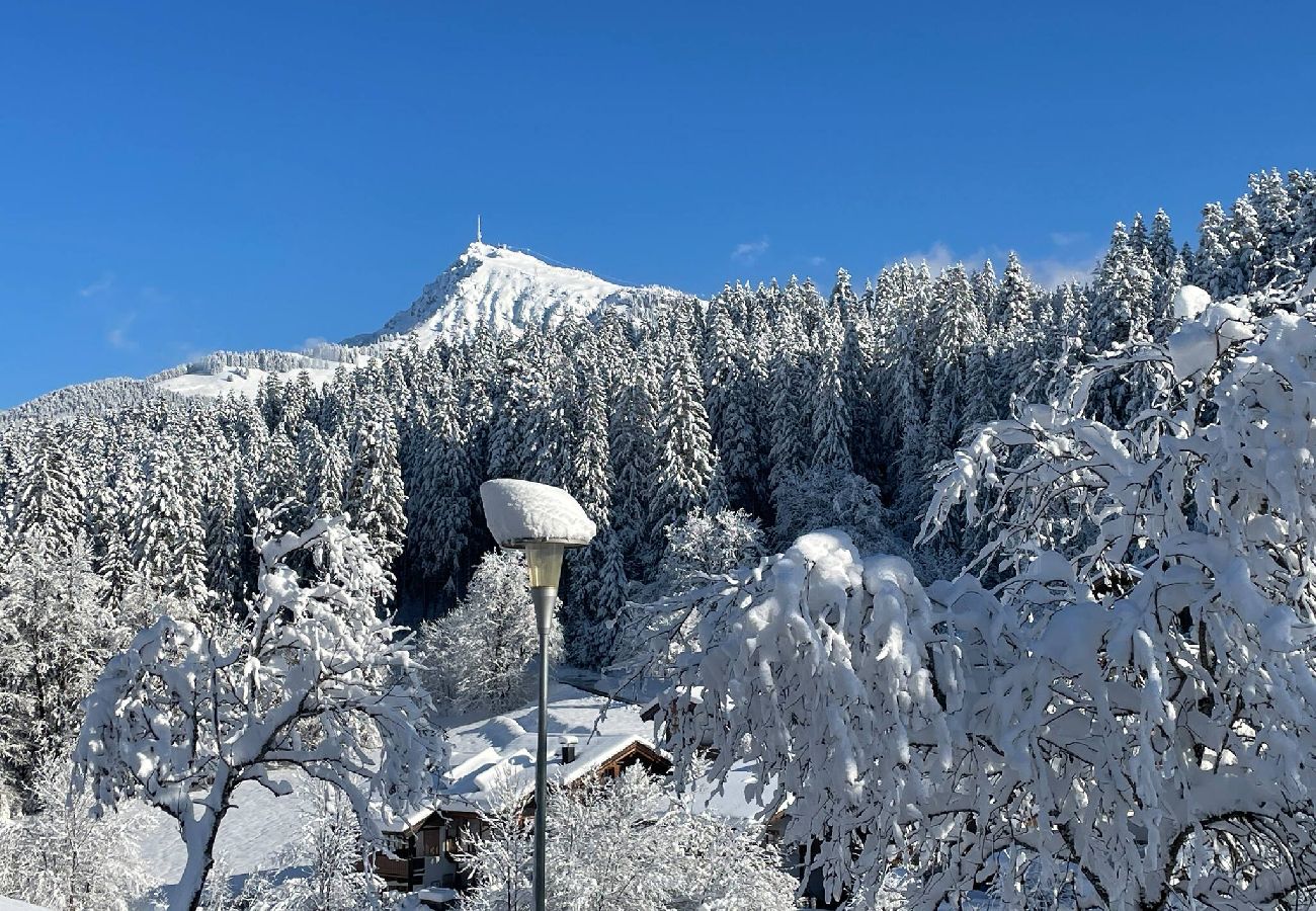 Ferienwohnung in Kitzbühel - Seebichlhof 2 - Lebenberg