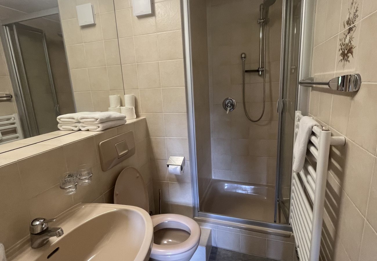 Ferienwohnung in Kitzbühel - Seebichlhof 2 - Lebenberg