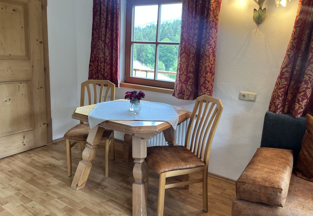 Ferienwohnung in Kitzbühel - Seebichlhof 2 - Lebenberg
