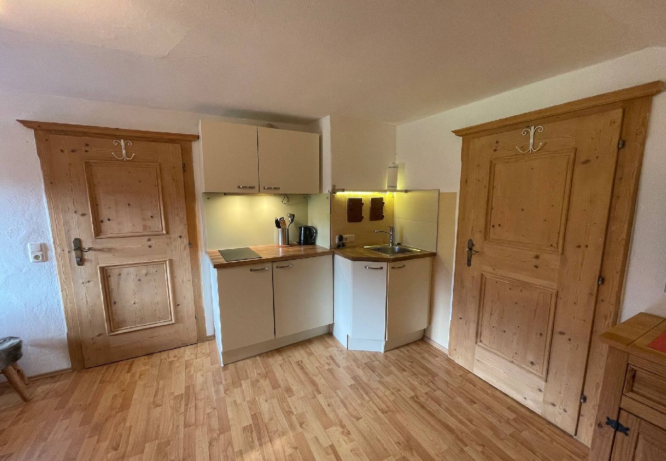 Ferienwohnung in Kitzbühel - Seebichlhof 4 - Horn