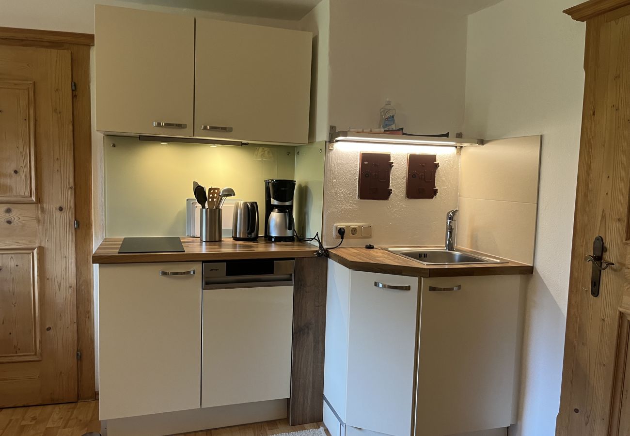 Ferienwohnung in Kitzbühel - Seebichlhof 4 - Horn