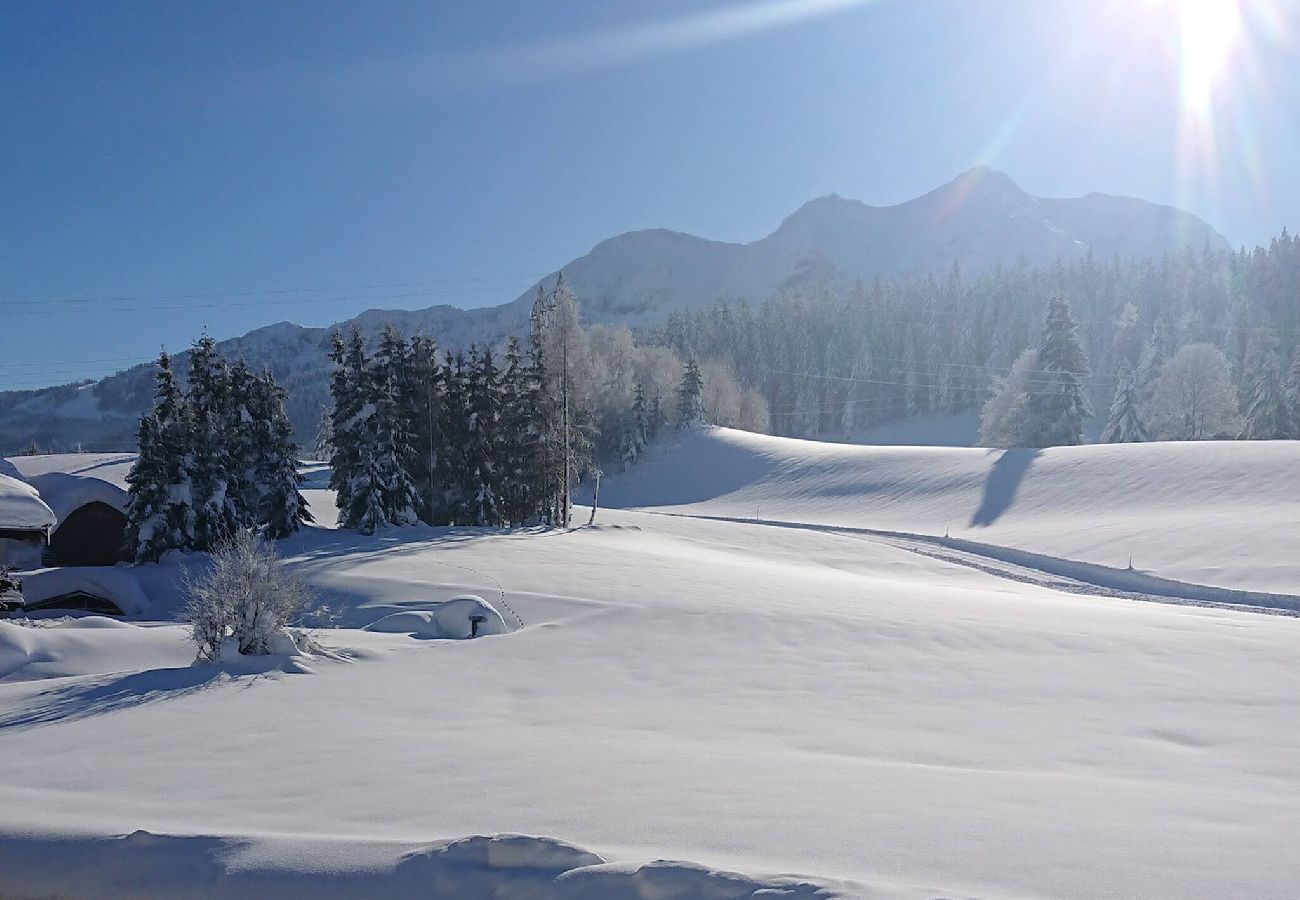Ferienhaus in Hochfilzen - Grand Chalet Hochfilzen