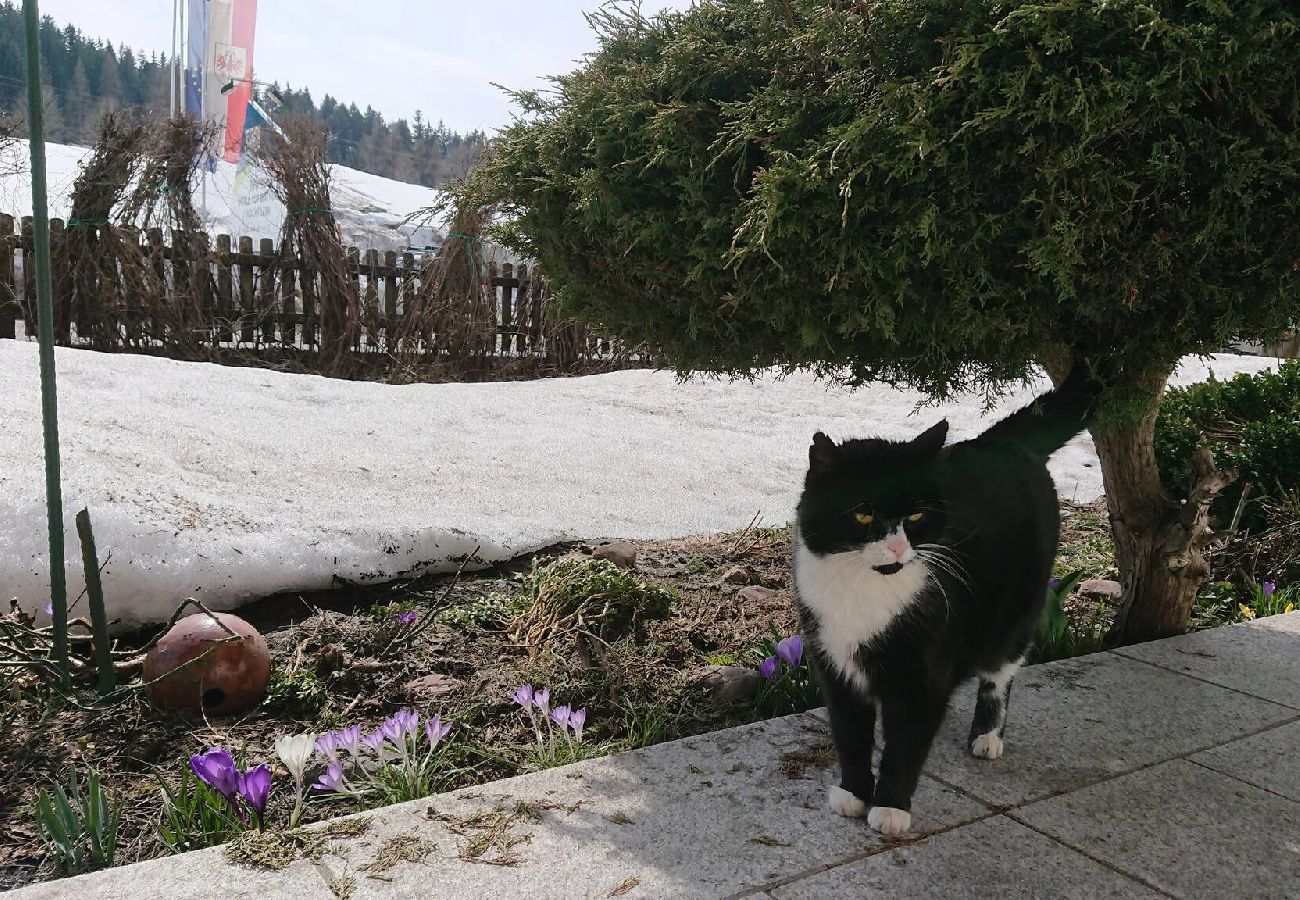 Ferienhaus in Hochfilzen - Grand Chalet Hochfilzen