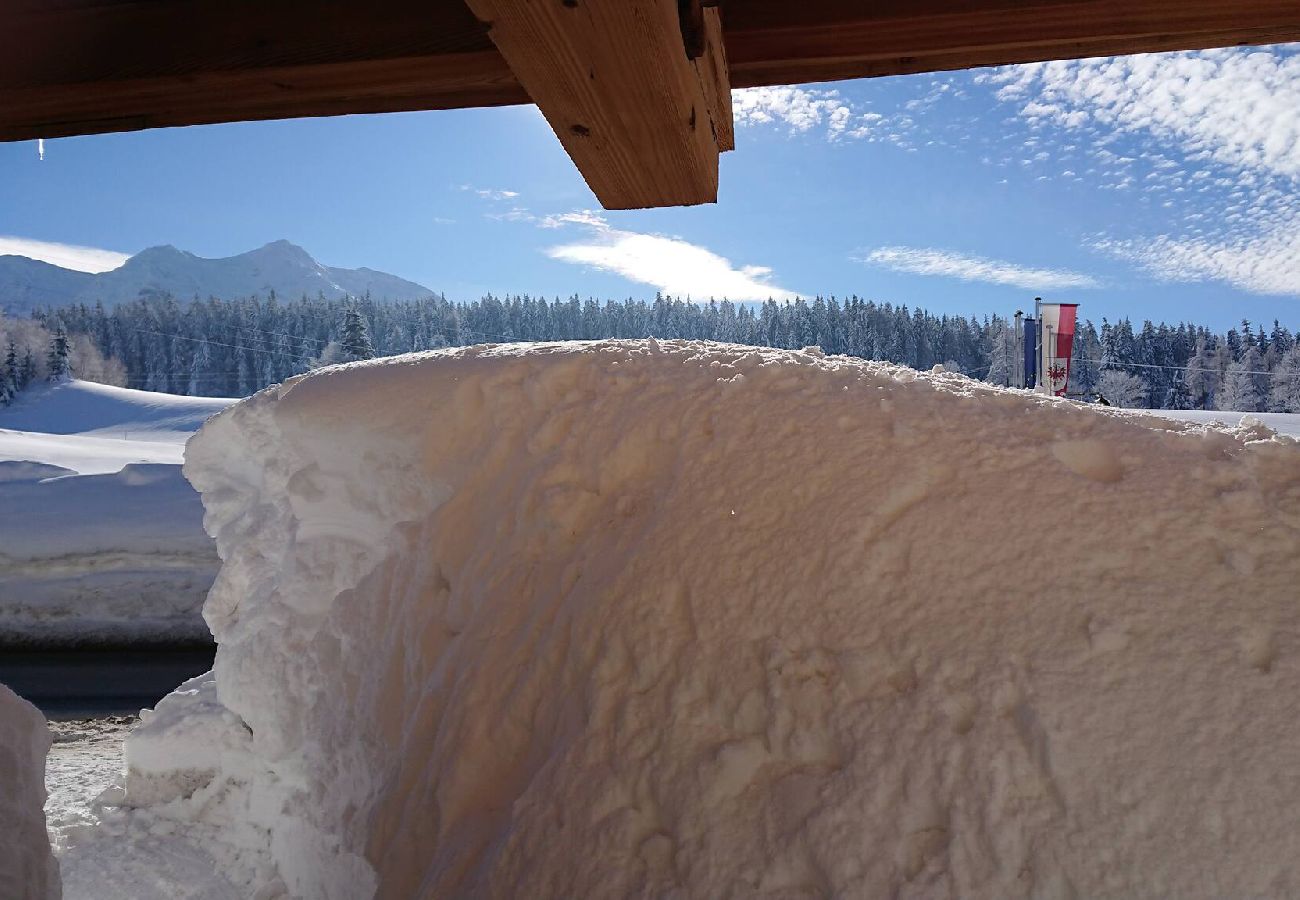 Ferienhaus in Hochfilzen - Grand Chalet Hochfilzen